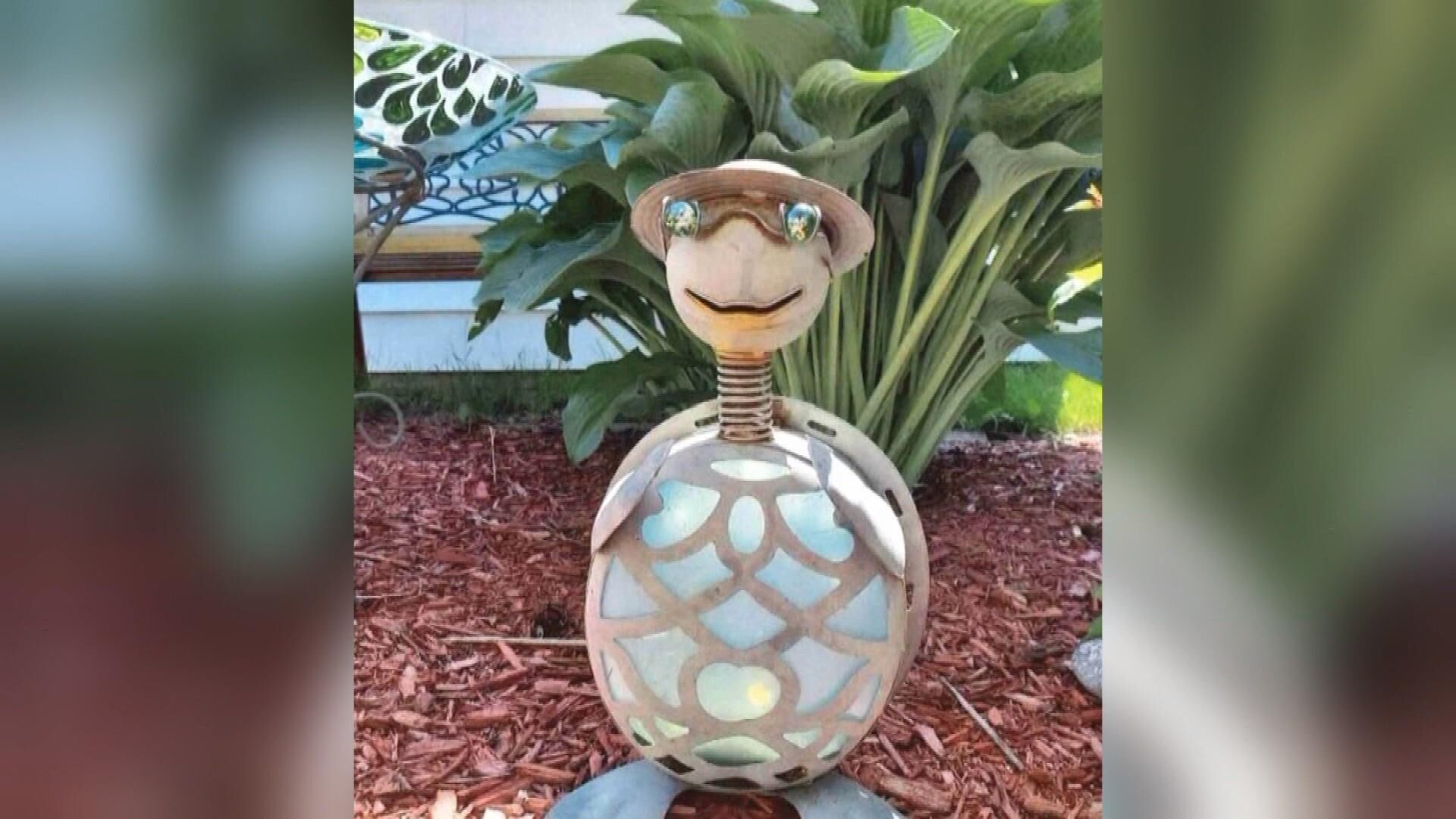 Sheldon the turtle is still missing